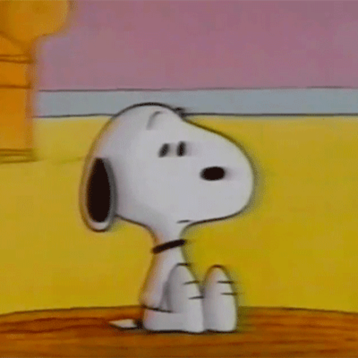 Snoopy Aesthetic Profile Picture Jengordon