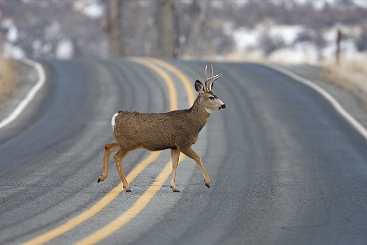 The Best And Worst States To Drive In TheStreet