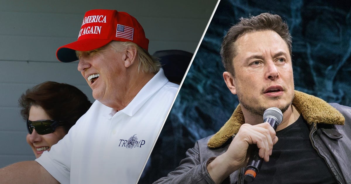 Elon Musk Has A Strong Opinion On Donald Trump - TheStreet