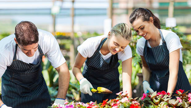 Tesco Weeds Out Gardening Stores in Bid to Focus on Grocery Business