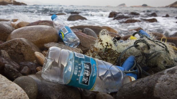 Discarded plastic water bottles wash up on a beach in Hong Kong's New Territories. Photo: EPA-EFE