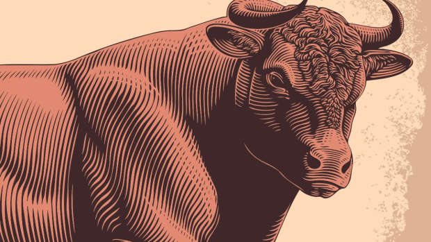 This Is an Unhealthy Bull Market, But What Happens Next?