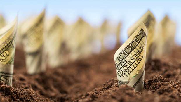 My Small-Cap Dividend Growers Are More Miss Than Hit So Far