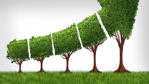 8 'Green' Stocks, Bonds and ETFs for Alternative Energy Investors