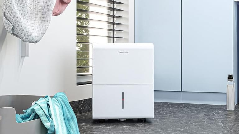 hOmeLabs  35 Pint Dehumidifier