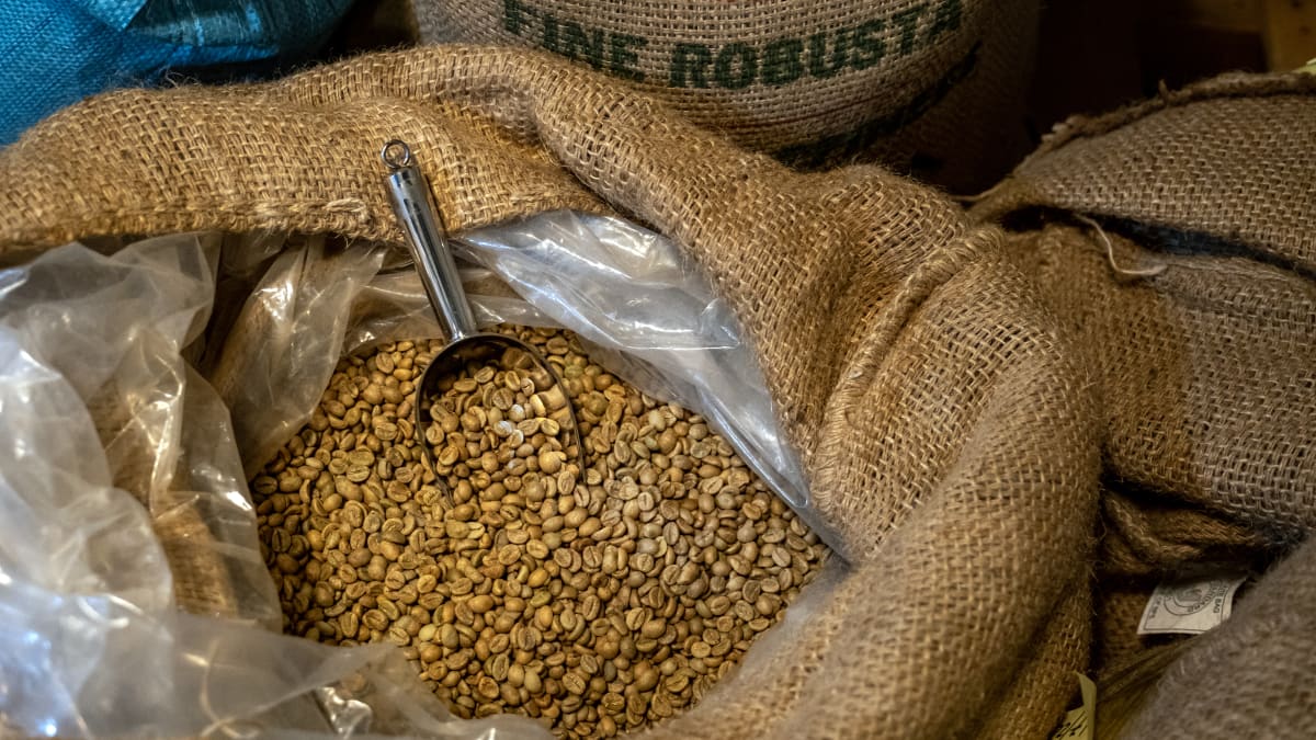 Togo Coffee Beans Exporters & Suppliers - Good Market Prices