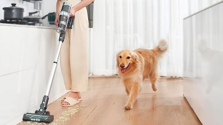 Dyson stick vacuum cheap cleaning