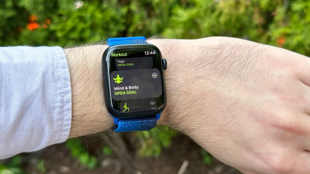 Apple watch 2024 fitbit or garmin