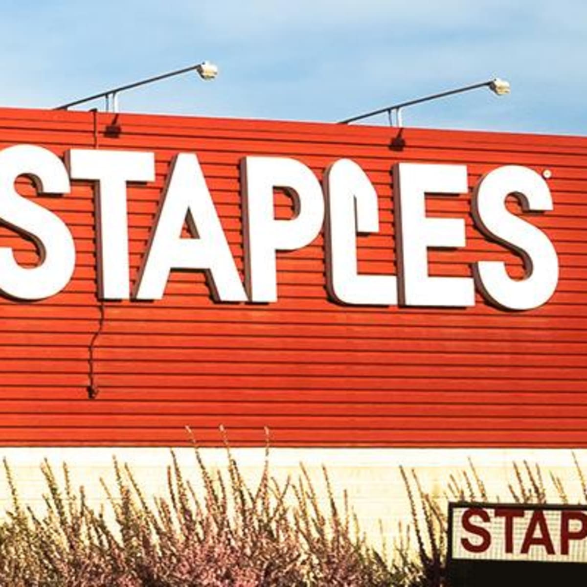 buy staples