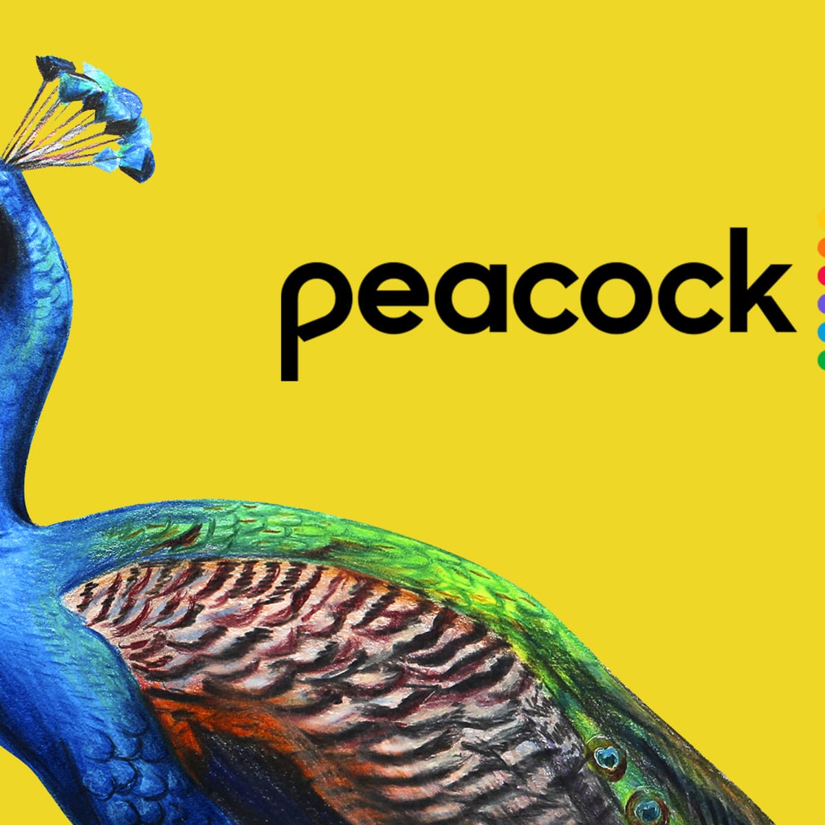 Comcast's Peacock Has a Subscription Problem - TheStreet