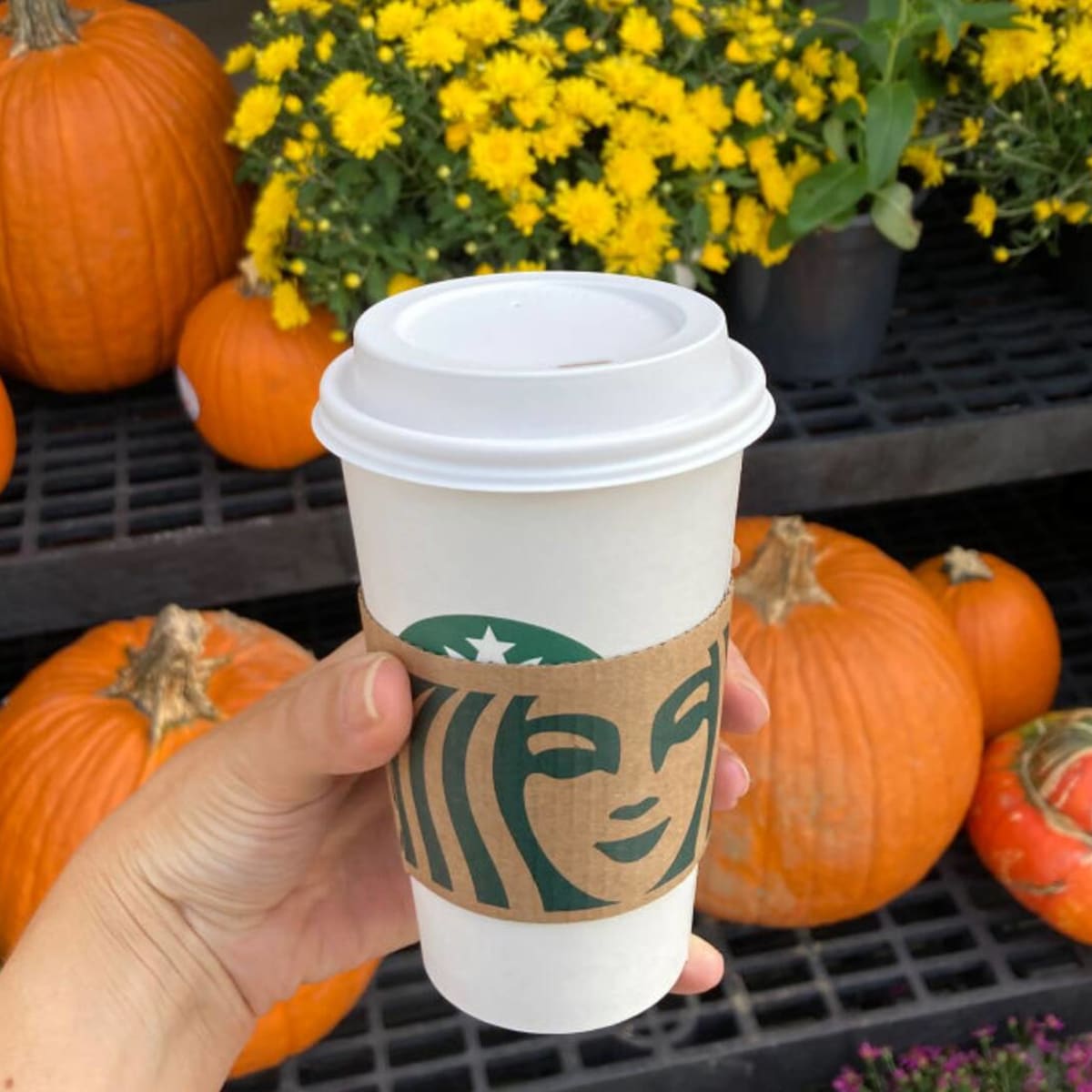 This Fall, Pumpkin Spice Lattes Get Competition From Starbucks