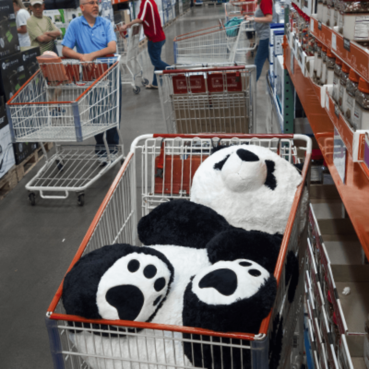 costco giant panda