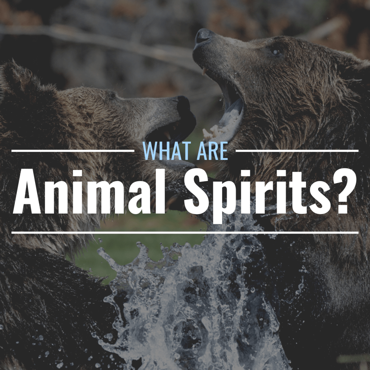 Animal Spirits