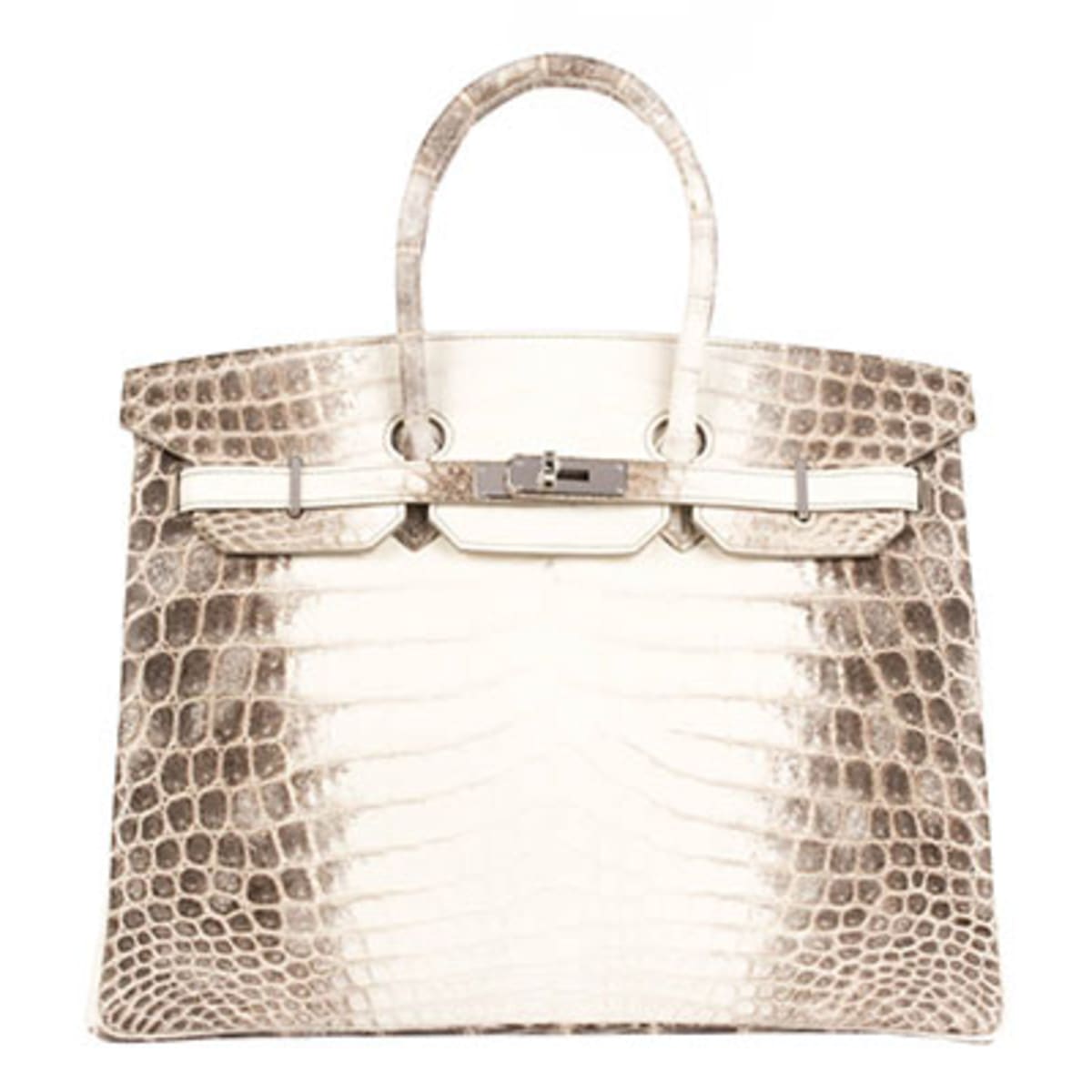 Hermes Himalayan Birkin