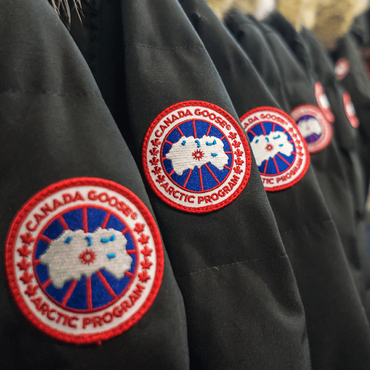 Canada goose holdings on sale quito