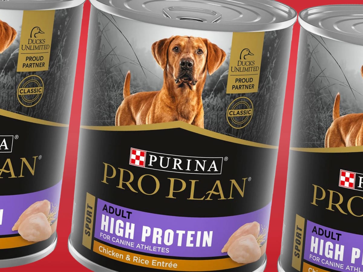 is there a recall on purina dog food