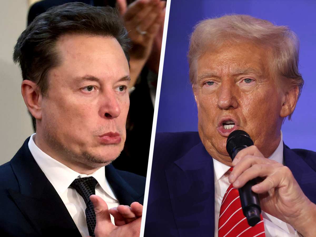 A wild Elon Musk in the White House could kill Trump's legacy - TheStreet