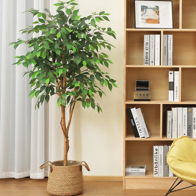 Walmart is selling a 0 artificial ficus tree for just , and shoppers say it’s the ‘real deal’