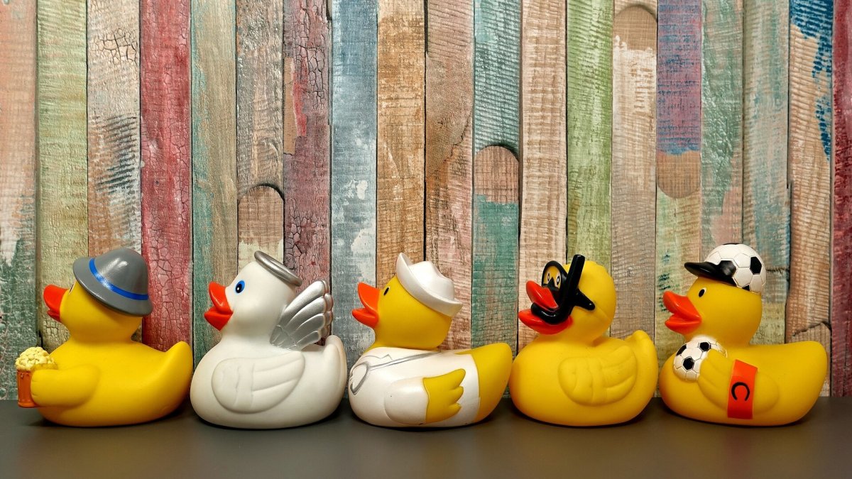 Carnival Cruise Line takes on duck-hiding controversy