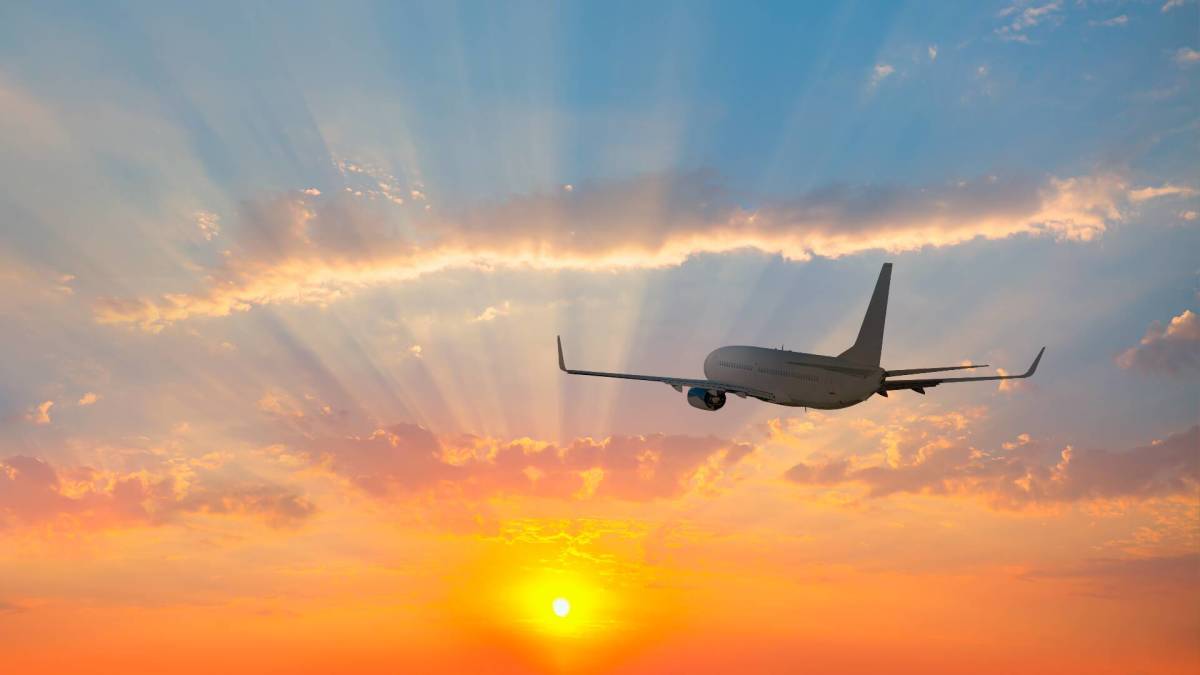 A bird incident has temporarily closed an airport runway