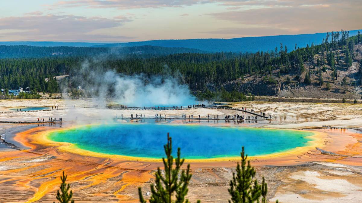 A volcano has opened up in a national park