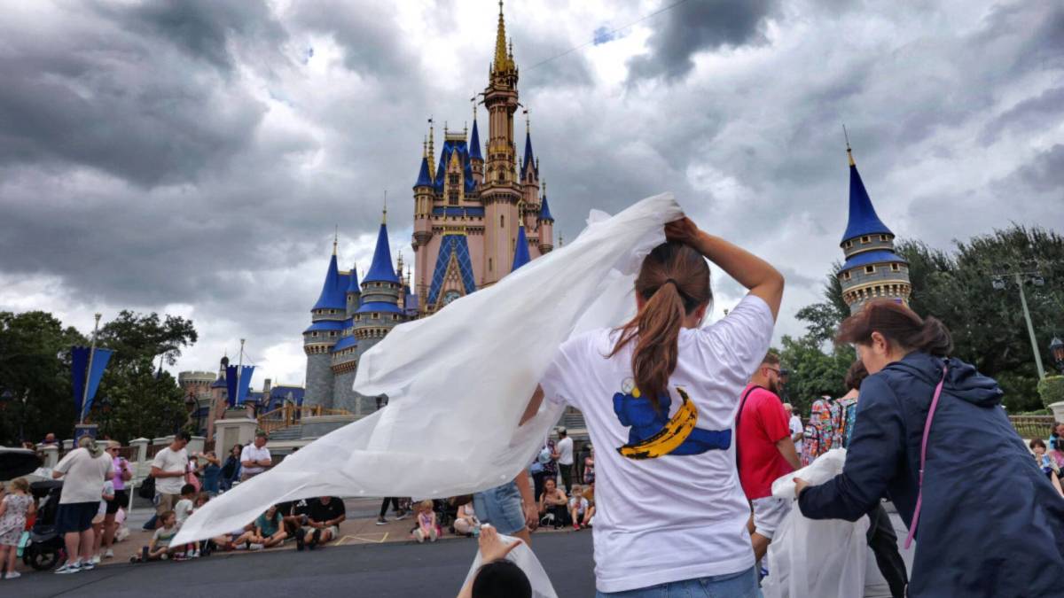 A new Disney World attraction will not allow kids