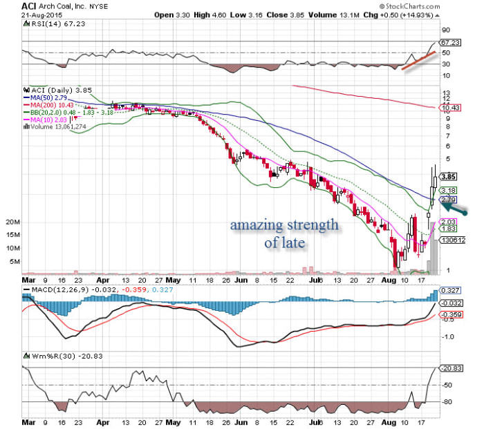 Aci Stock Forecast