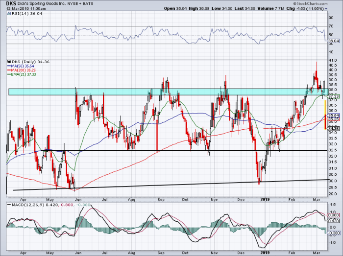 Dick's Sporting Goods Plunges on Earnings. Now What? - TheStreet