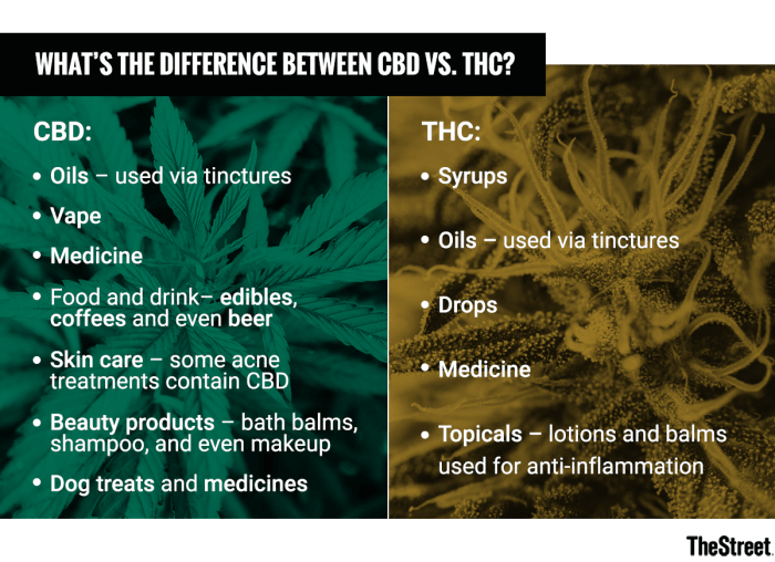 What's The Difference Between CBD Vs. THC? - TheStreet