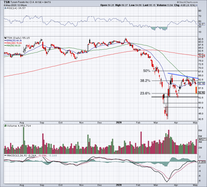 How Much Is Tyson Stock Worth