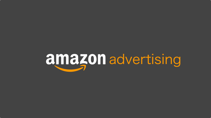 Figure 1 : Logo Publicitaire Amazon.