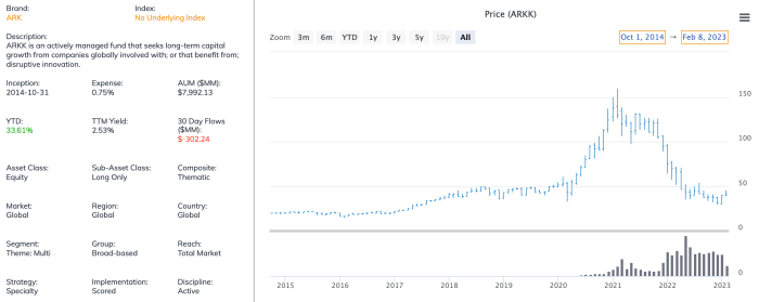 The ARK Innovation ETF (ARKK) Just Had Its Best Single Month Ever ...