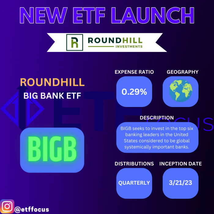 Roundhill Launches Big Bank ETF, Investing Only In The 6 Largest U.S ...