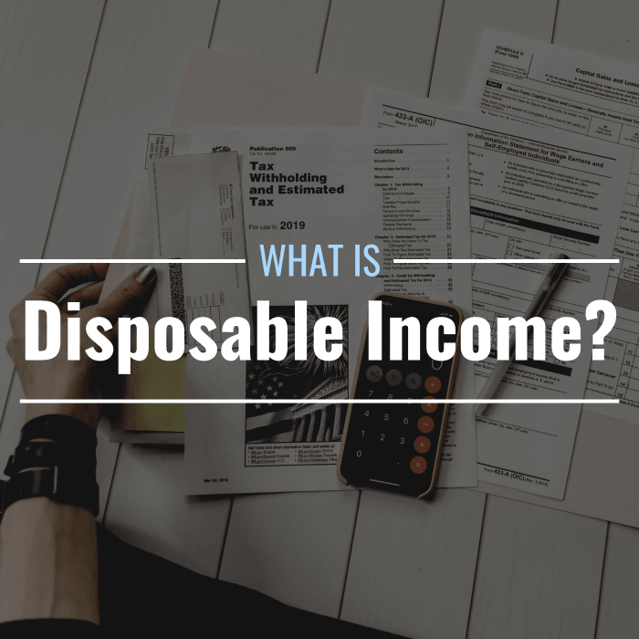 what-is-disposable-income-definition-importance-in-personal-finance