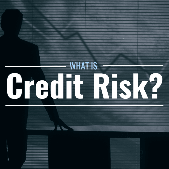 What Is Credit Risk? Definition, Importance & Examples - TheStreet