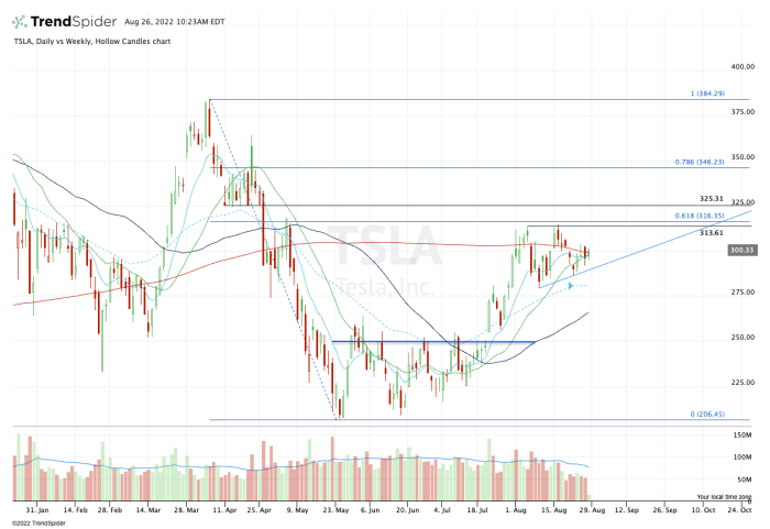 Tesla Stock: What the Chart Says After 3-for-1 Split - TheStreet