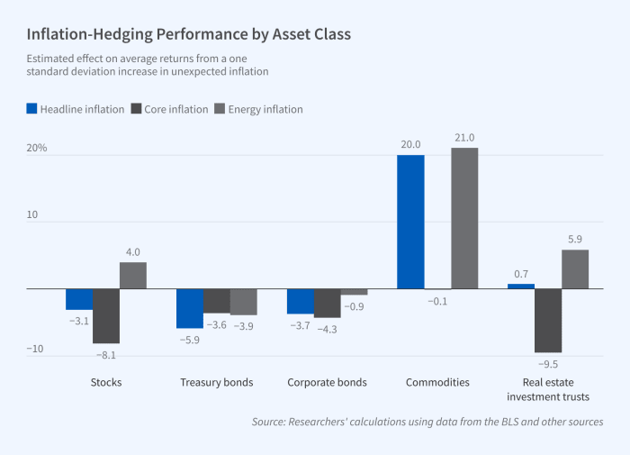 What Are Inflation Hedge Assets