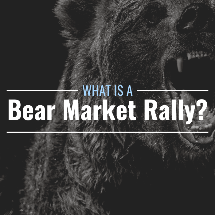 what-is-a-bear-market-rally-definition-identification-causes