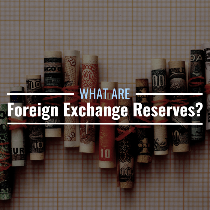 what-are-foreign-exchange-reserves-definition-importance-thestreet