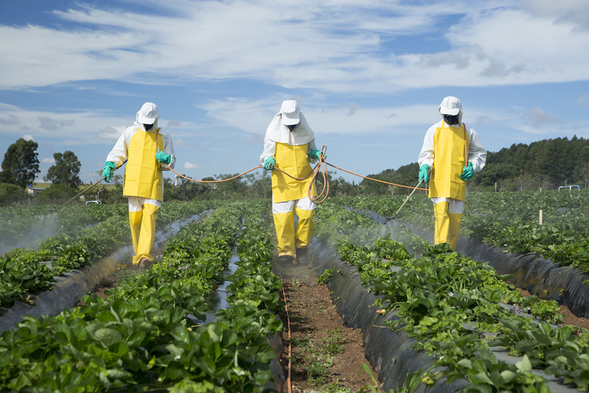 insecticides and pesticides in fruits and vegetables