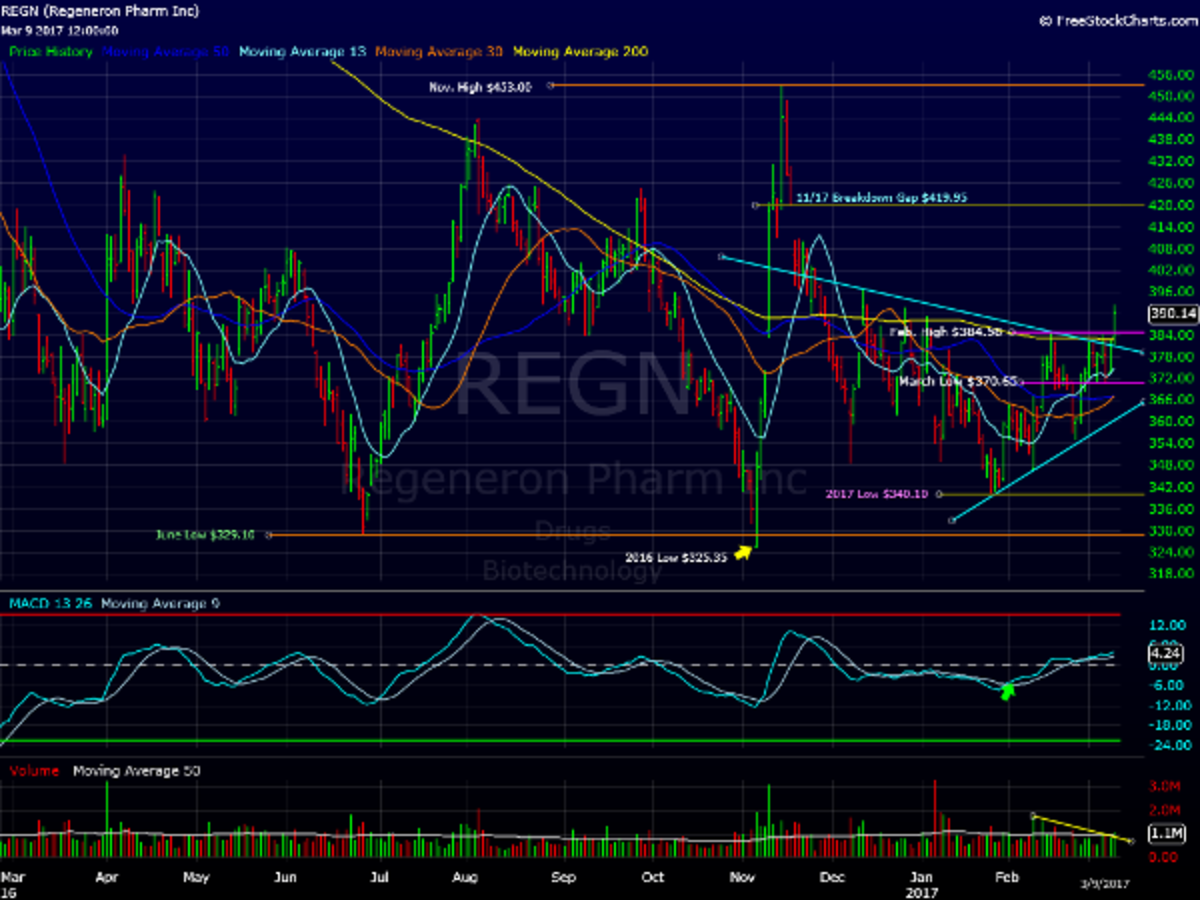 Regeneron Could Run Higher: Must-See Chart - TheStreet