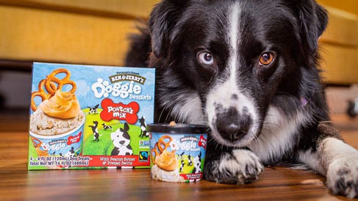 Ben & Jerry's Digs Into Pet Food With New Doggie Ice Cream - TheStreet