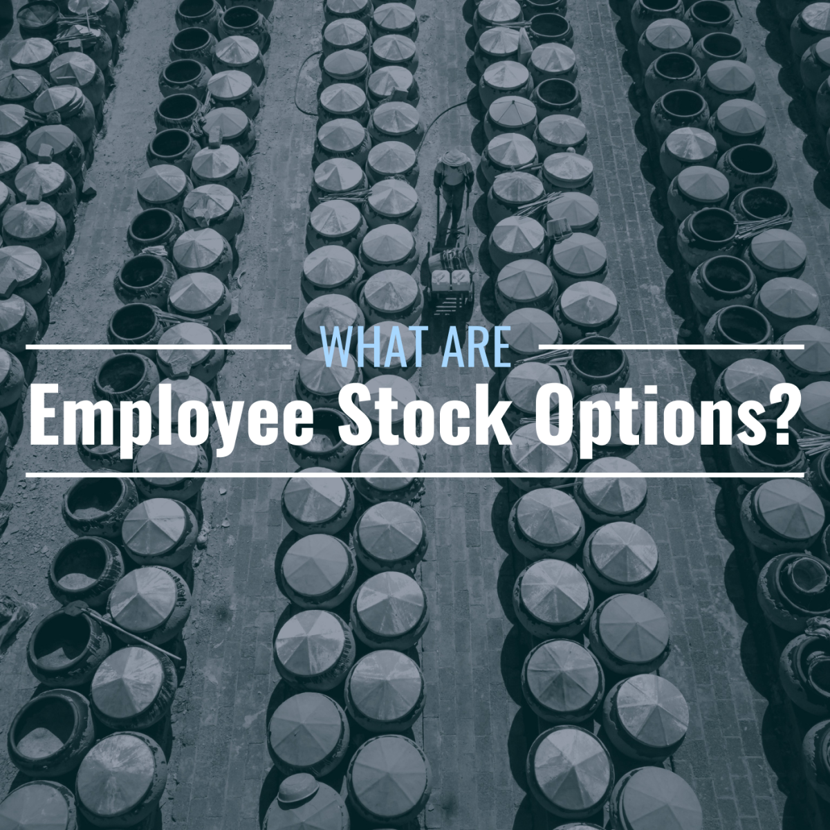 What Are Employee Stock Options Definition And Examples TheStreet