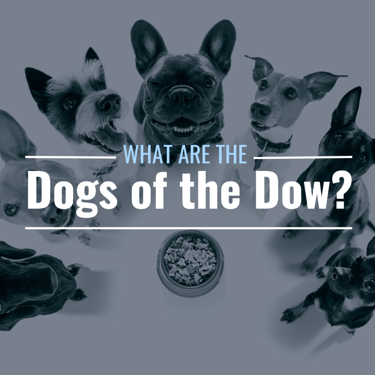 does dogs of the dow work