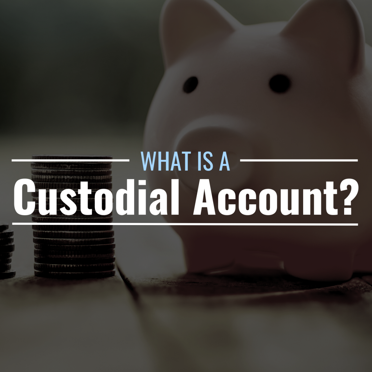  What Is A Custodial Account Definition Types TheStreet