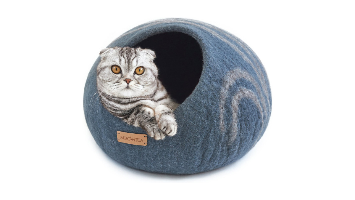 Chewy sales cat cave